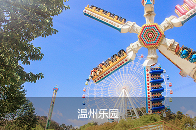 溫州網站建設與數字服務全指南 從網頁設計到APP開發