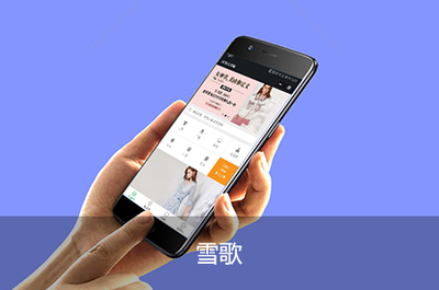 溫州網站建設與數字服務全攻略 從網頁設計到小程序開發